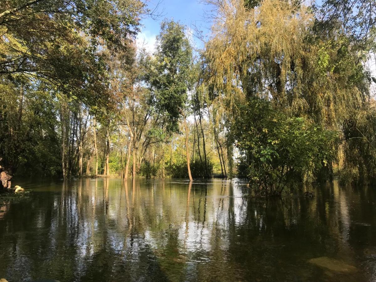 Apartmán Ancien Moulin A Eau Sur La Seugne Mosnac  Exteriér fotografie